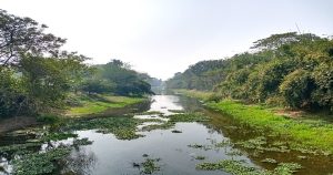 Jhenaidah Kaligonj Begbotti Rever Photo-1