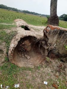 ভোগান্তি