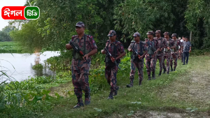 বাংলাদেশী আহত